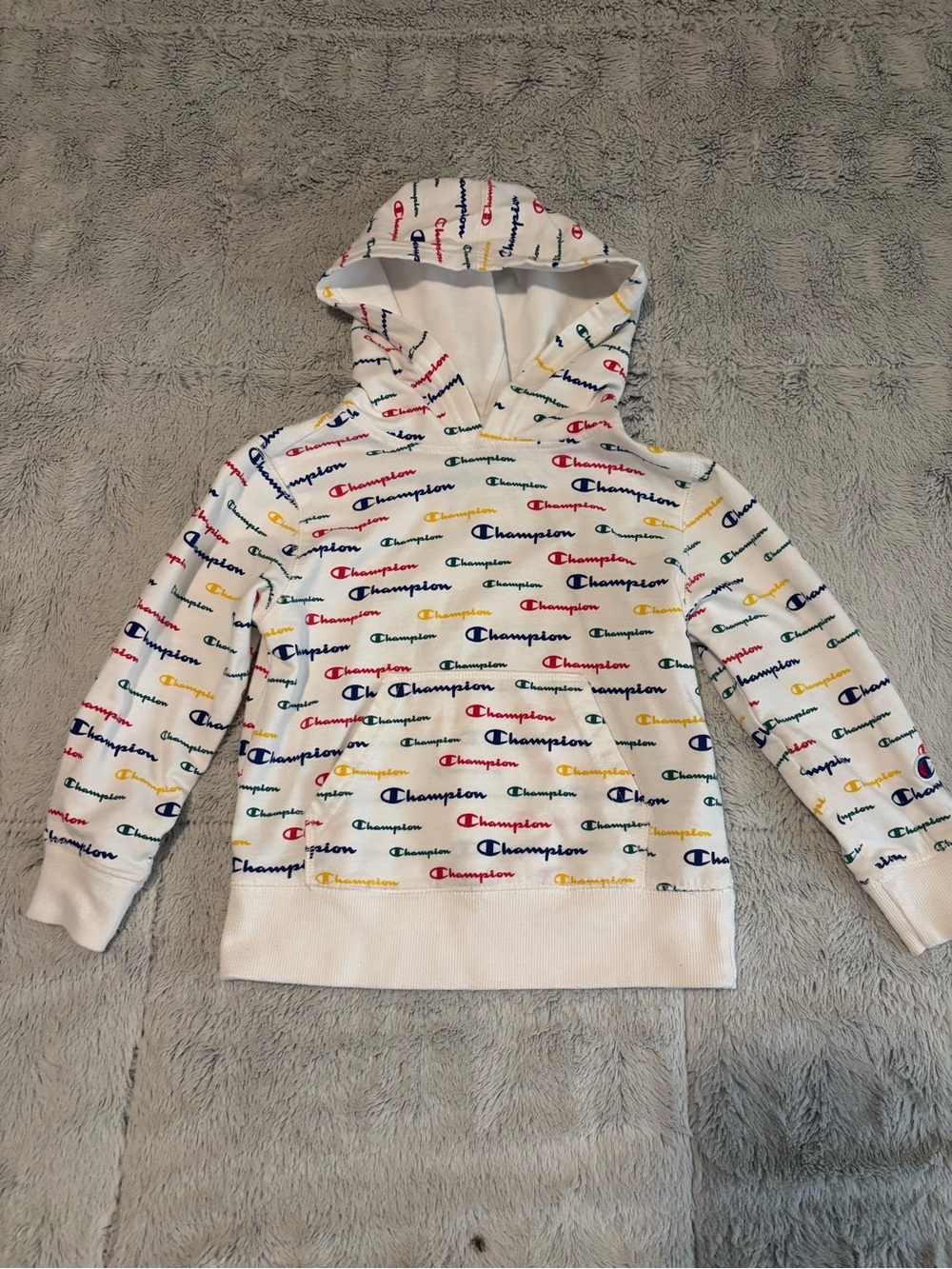 Champion Sweater
